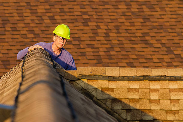 Best Shingle Roofing Installation  in Los Chaves, NM